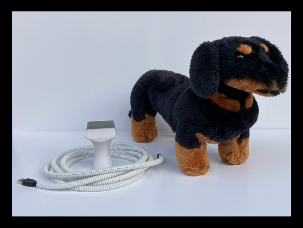SIMON Canine Abdominal Ultrasound Simulator (Full Kit)