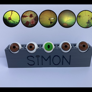 SIMON Fundic Exam Simulator - Veterinary (Doctor's Kit)