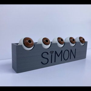 SIMON Fundic Exam Simulator - Custom Kit