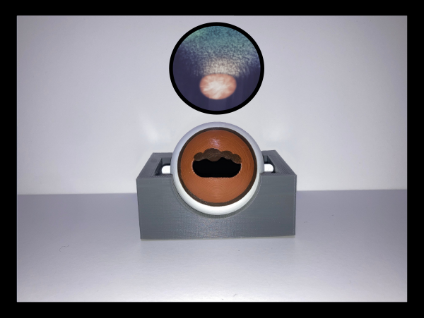 SIMON Fundic Exam Simulator - Equine (Full Kit)