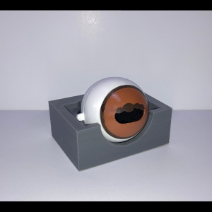 SIMON Fundic Exam Simulator - Equine (Doctor's Kit)