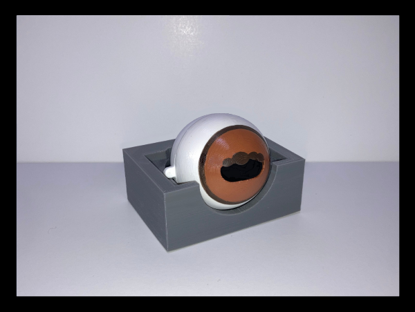 SIMON Fundic Exam Simulator - Equine (Doctor's Kit)